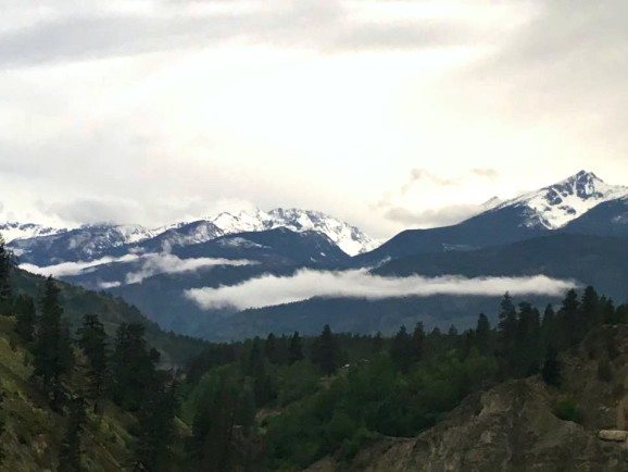 views from the GoldLeaf carriage