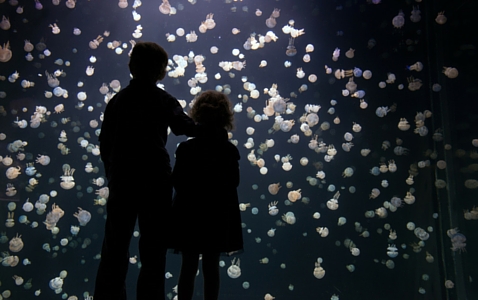Vancouver Aquarium in Canada