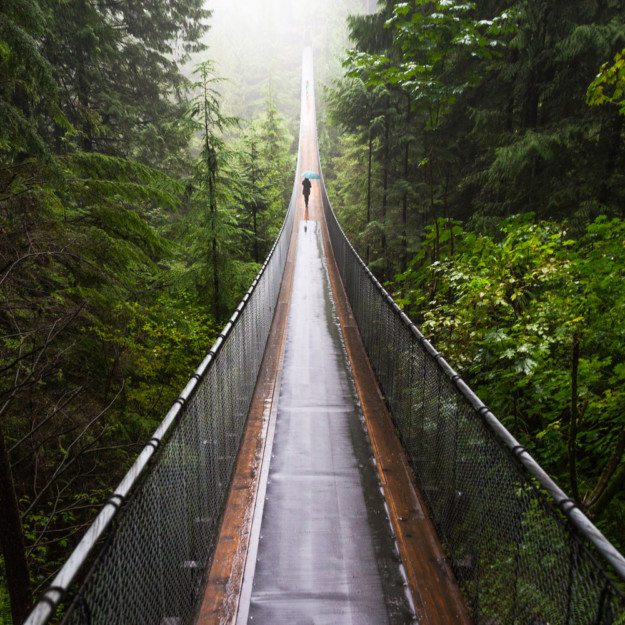 capilano suspension bridge