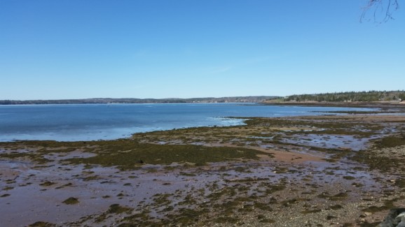 A view of the Fundy coast towards the seaside town of St. Andrews by-the-Sea
