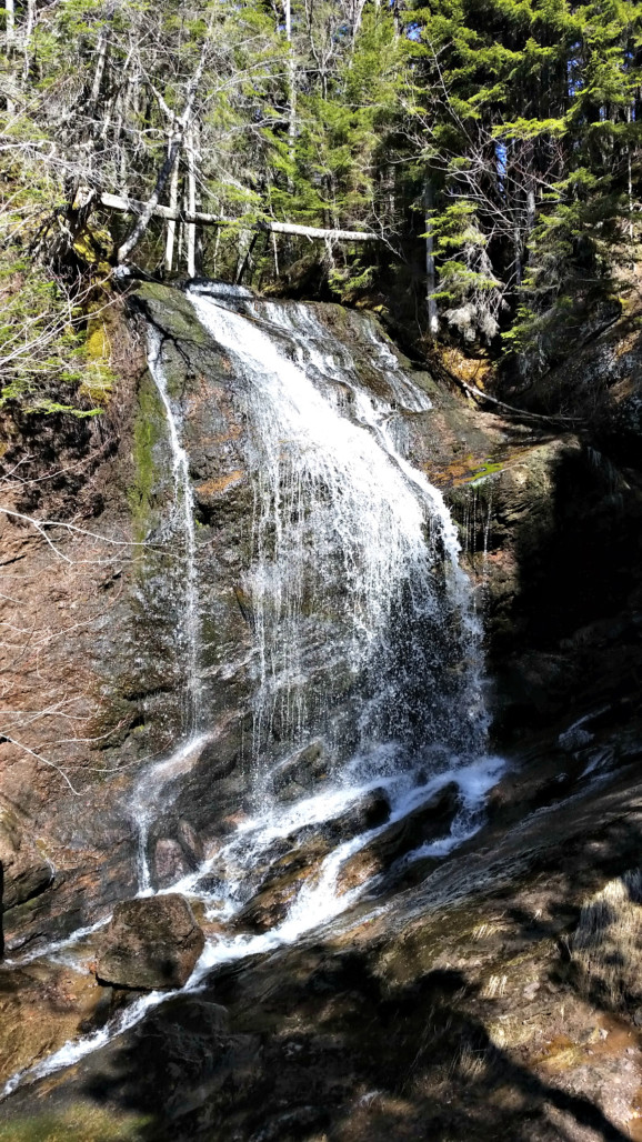 A waterfall along the Fundy Trail parkway
