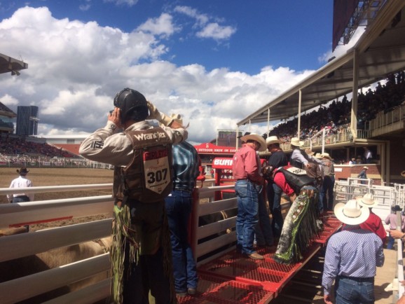 Calgary Stampede cowboys