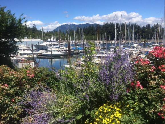 Coal Harbour boats