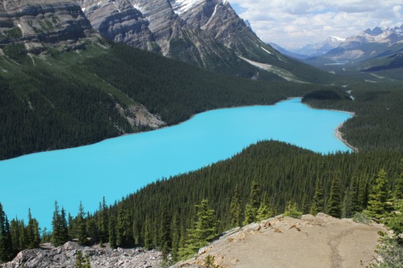 Peyto Lake