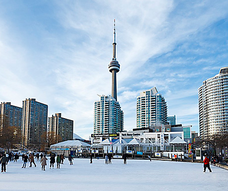 people skate on an ice rink in front of the CN tower