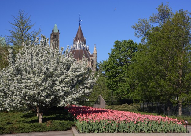 Ottawa tulip park
