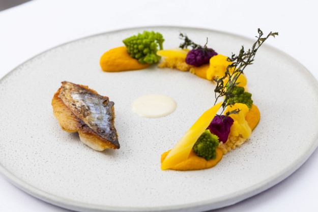 gourmet restaurant dish