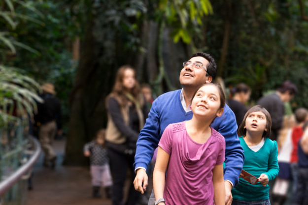 family marvel at something out of frame