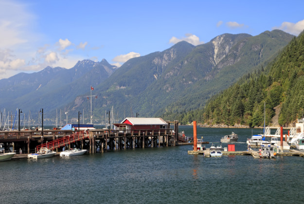 marina with fishing boats
