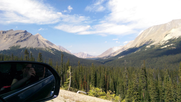 picture out of a car window across a forest of evergreen trees with the reflection of a woman taking the picture in the car's wing mirror in the foreground