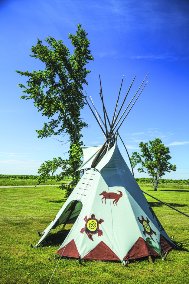 Tipi tent standing in a sunny field