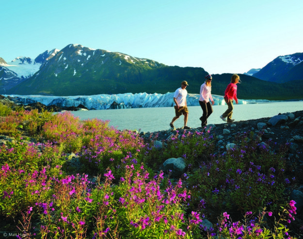 family hikes up a hill with purple flowers in the foreground and green mountains and glaciers in the background