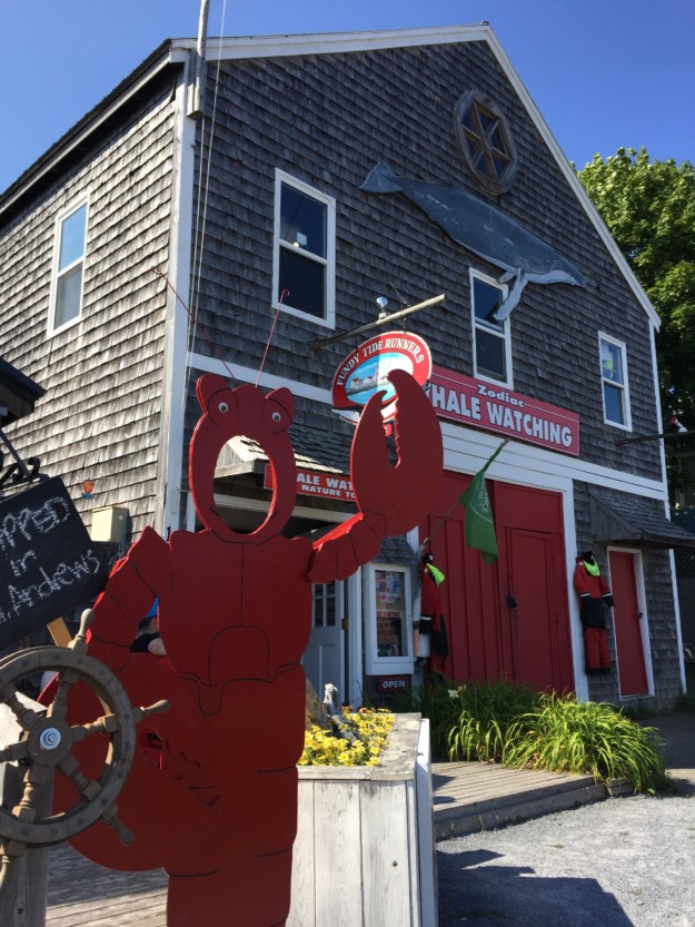 st. andrews by the sea