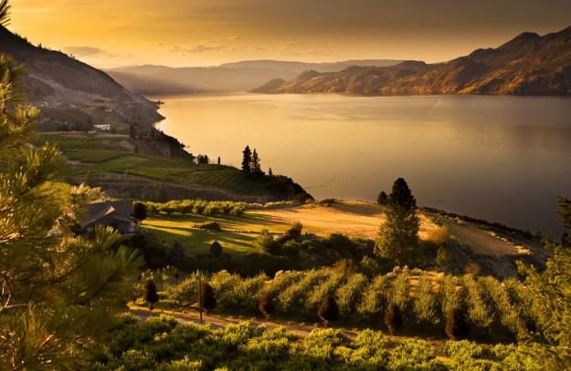 Okanagan lake