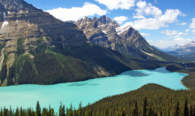 Peyto Lake in canada