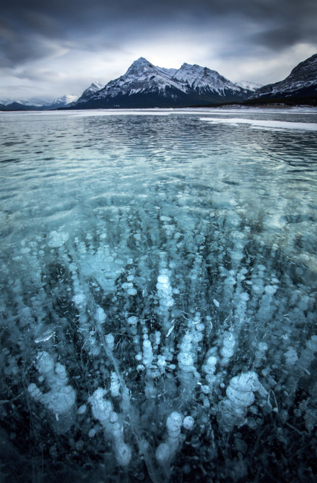 abraham lake ice bubbles