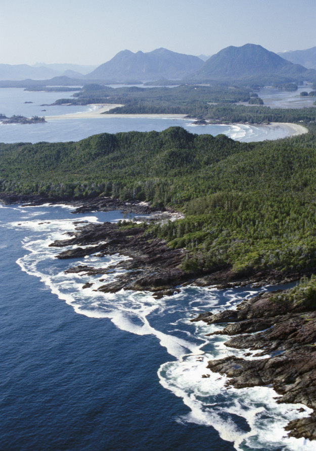 waves breaking on the rocky shores with huge forests beyond