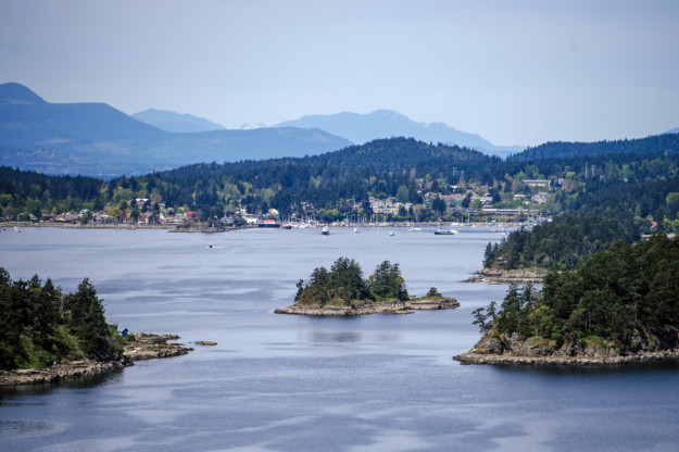 islands covered in trees dot the water