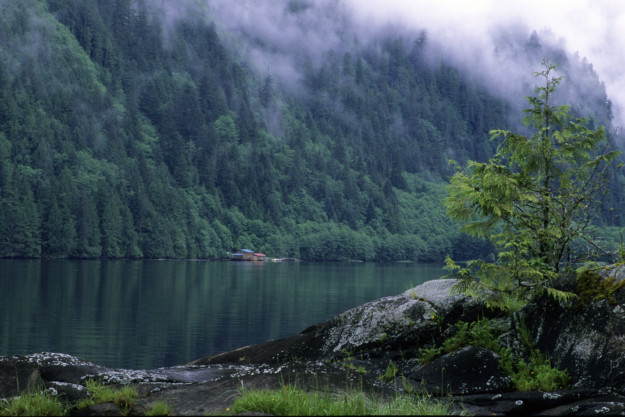 view of a cabin at the edge of a forest beyond a lake