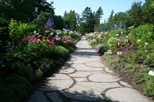 a garden path flanked by multi-coloured flowers on either side