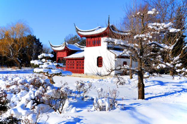 a Japanese garden covered in snow