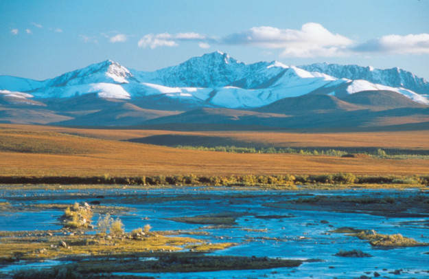 vast green plains with a shallow river in the foreground and snow-capped mountains in the background
