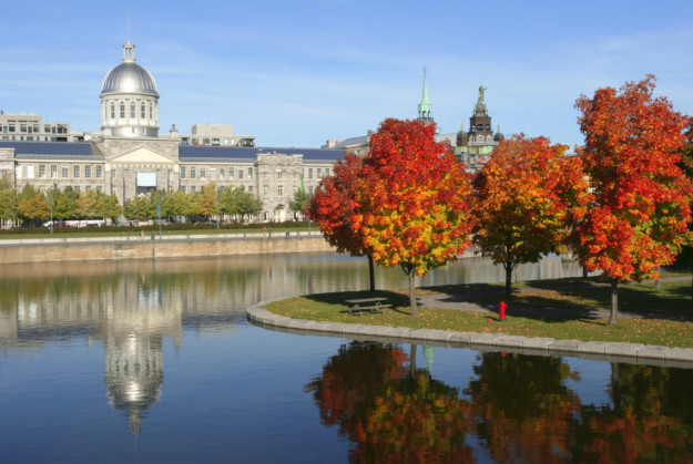 vivid red and yellow leafed trees stand next to still water with Bonsecours' market in the background