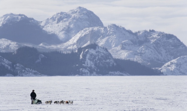 a team of sled dogs pulls a man across a vast ice field