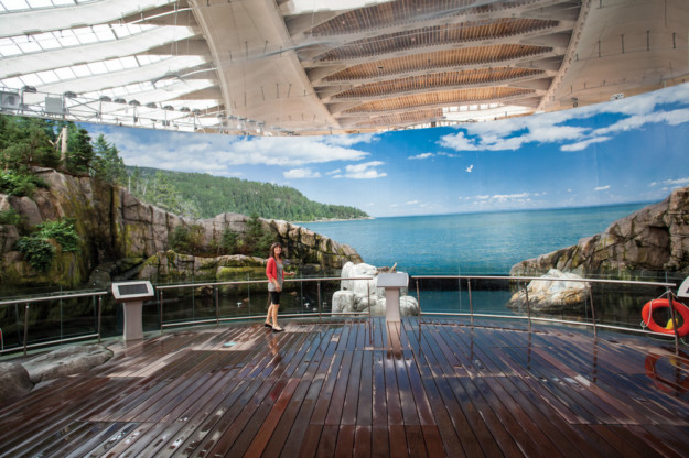 woman enjoys the artificial views aboard the deck of an artificial ship in the biodome