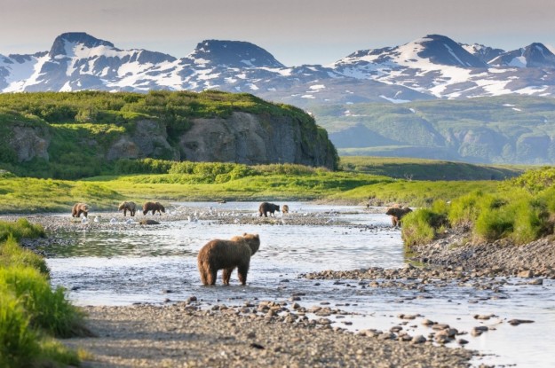 Wildlife and wilderness in Alaska