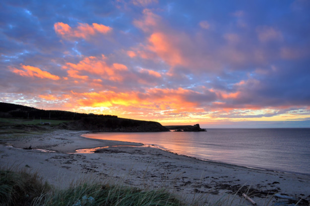 a wild beach looking out to sea