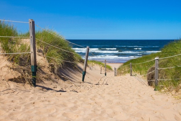 a golden sand dune leading down towards a slightly choppy ocean