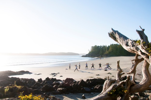 a group does yoga on a sunny day on the beach