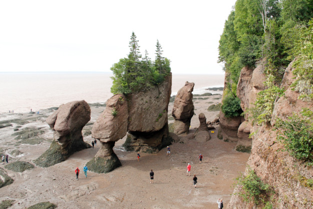People exploring the ocean floor around massive, uniquely shaped rock formations and trees during low tide at Hopewell Rocks, Nova Scotia, Canada.
