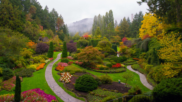 the yellow, red, pinks, purples and green leaves and flowers of the sunken garden at Butchart Gardens