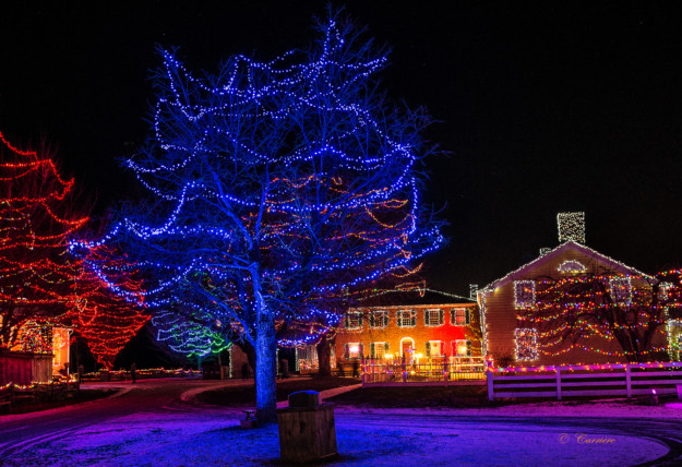 A vibrant night scene of a park in Canada's capital during Christmas, showing a large tree with blue lights on the left, other trees with red lights, and a barn-like building adorned with white lights