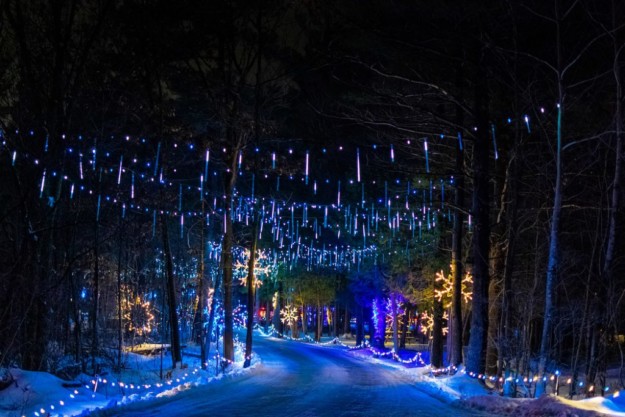 A snowy forest road in Canada's capital, illuminated by festive blue and white hanging lights and ground lights, creating a magical winter evening scene.