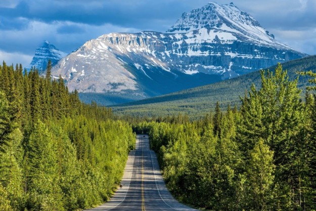 a road runs between a green forest towards a snow-capped mountain