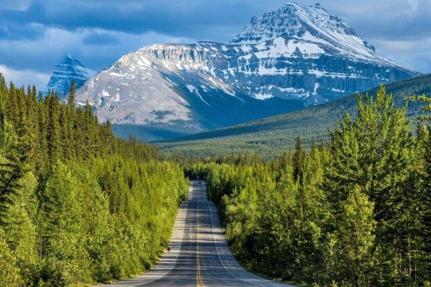 the icefields parkway road stretches off towards a snow-capped mountain