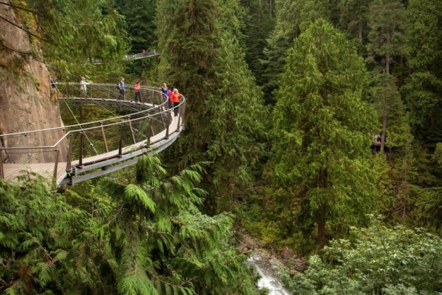 people walk along the capilano suspension bridge above a green forest