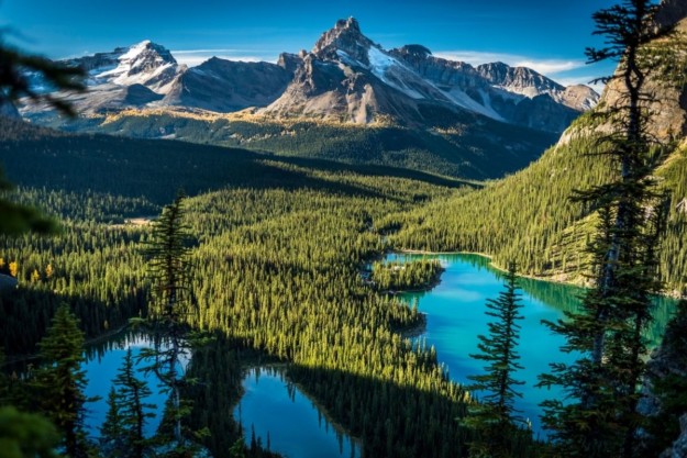 an evergreen forest dotted with blue lakes stretch towards a mountain peak
