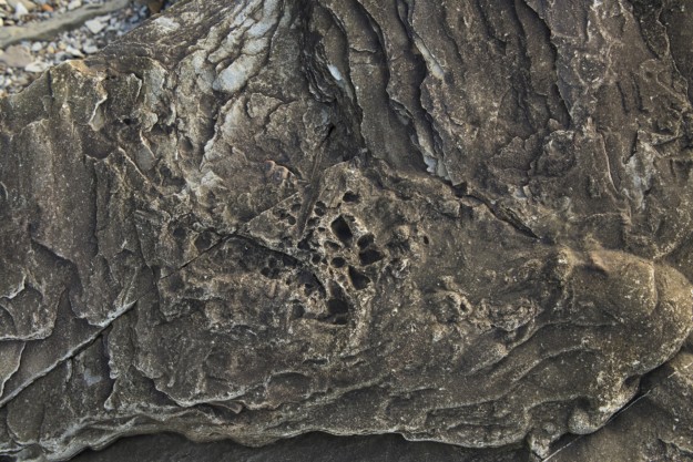Joggins Fossil Cliffs in the Bay of Fundy