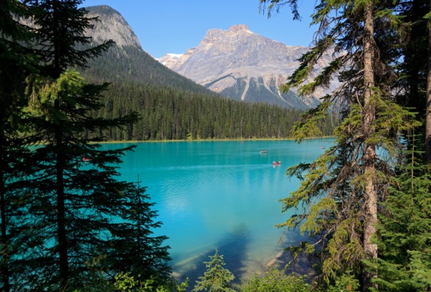 canoers row on the turquoise water of Emerald lake