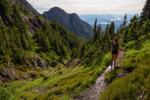 a hiker treks along a trail high up in the mountains surrounded by greenery