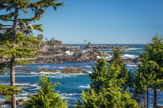 the blue waves breaking on the rocks with green trees in the foreground