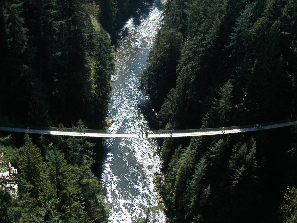 The Capilano Suspension Bridge