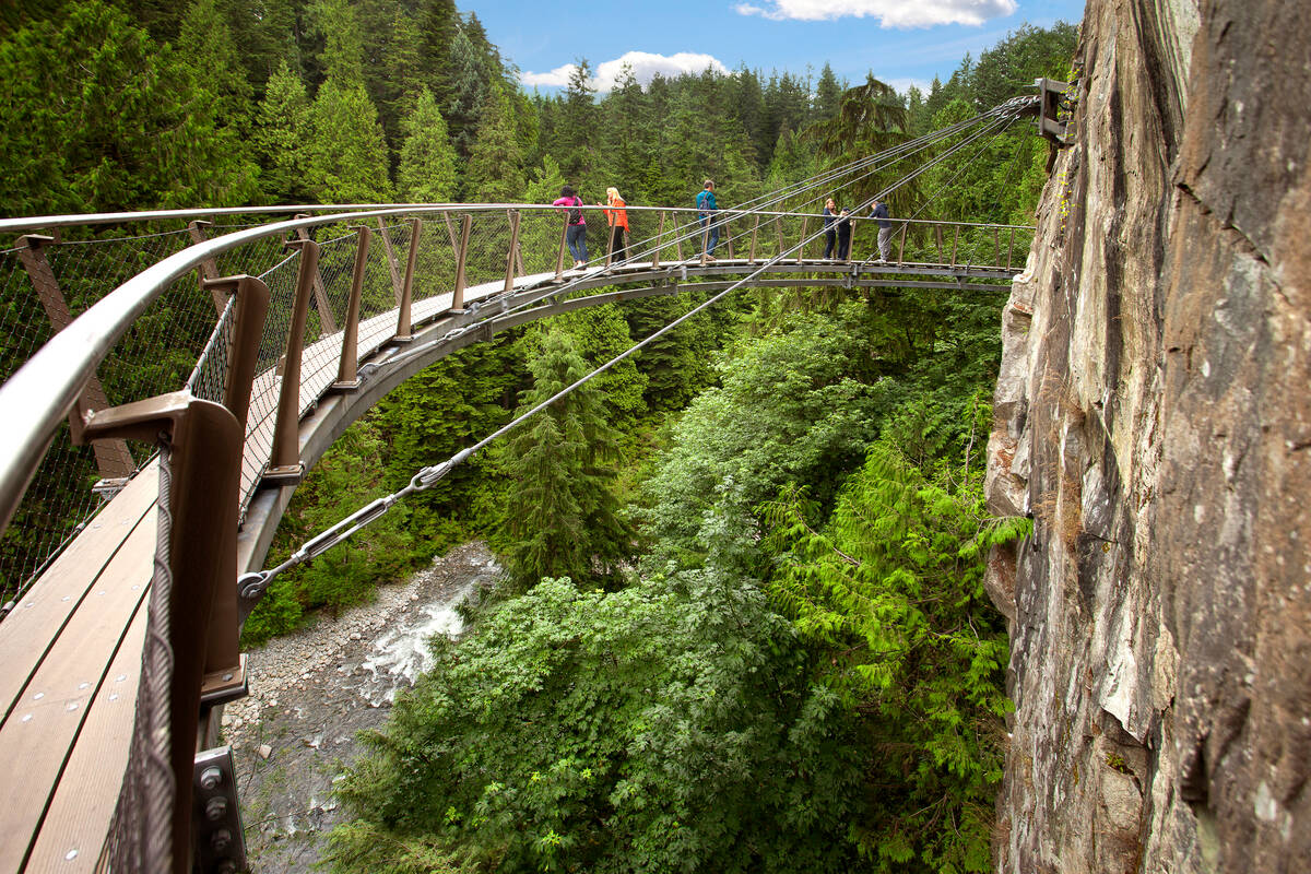 Walkers on a bridge over a lush forest