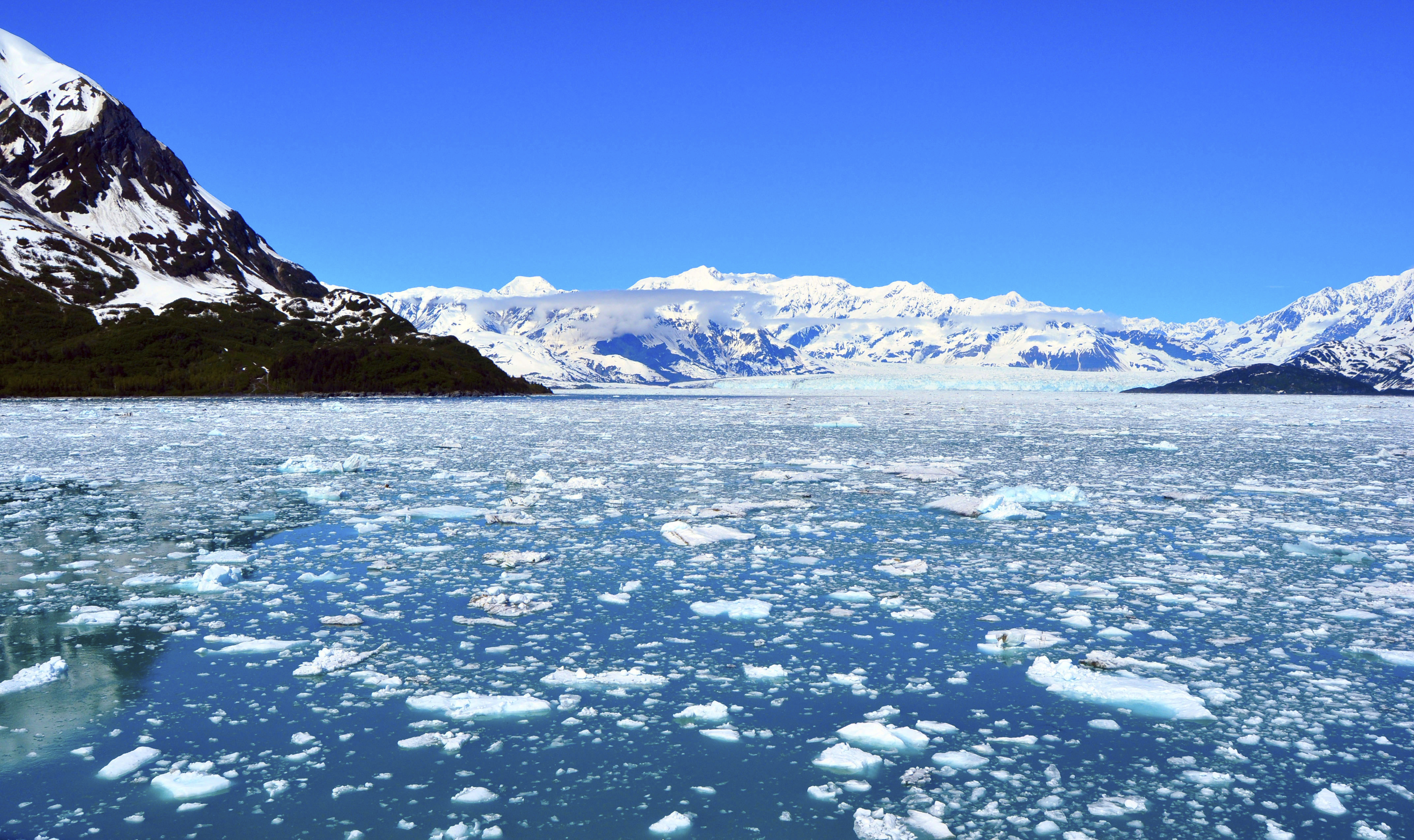 Ice on the sea at Glacier Bay National Park