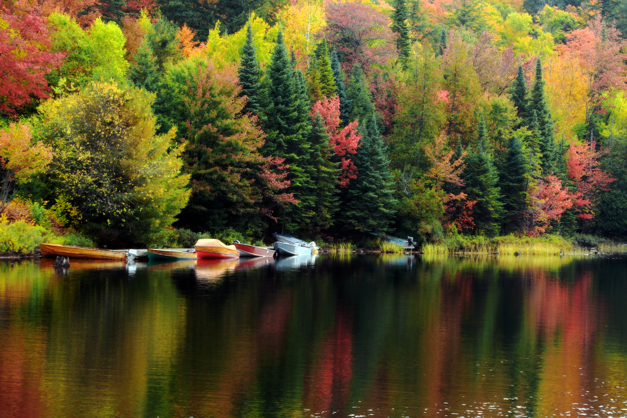 Boats on the water of a Canadian lake