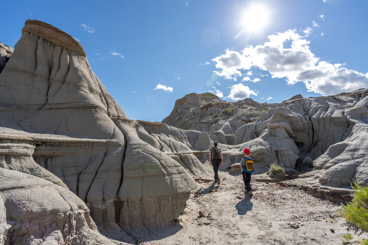 The Dinosaur Provincial Park